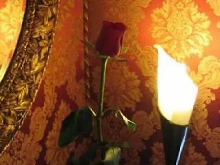 ريسيدينزا أنتيكا 4* روما